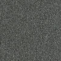 Ковровая плитка Interface Twist & Shine Micro 4190007 Thunder Micro фото 1 | FLOORDEALER